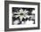 Schwartz - Sun-Speckled Daisy-Don Schwartz-Framed Art Print