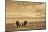 Schwartz - Two Chairs on the Sand-Don Schwartz-Mounted Art Print