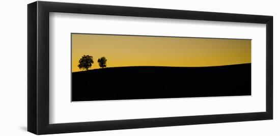 Schwartz - Two Trees at Sunset-Don Schwartz-Framed Art Print
