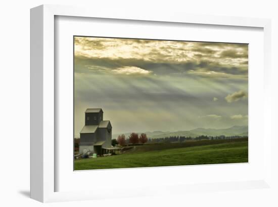 Schwartz - Wine Country Sunset-Don Schwartz-Framed Art Print