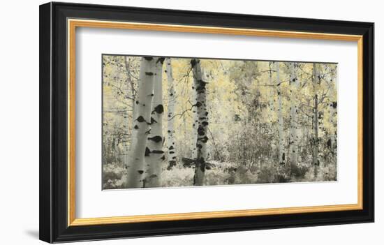 Schwartz - Wisp of Gold-Don Schwartz-Framed Art Print