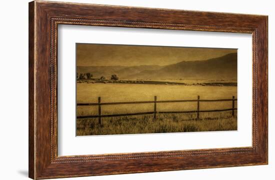 Schwartz - Yampa Valley Morning-Don Schwartz-Framed Art Print