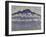 Schynige Platte, paysage de l'Oberland bernois, Suisse ou La Pointe d'Andey vue de Bonneville-Ferdinand Hodler-Framed Giclee Print