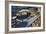 Sci Fi - Futuristic City Scene, 1932-Leo Morey-Framed Giclee Print