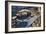 Sci Fi - Futuristic City Scene, 1932-Leo Morey-Framed Giclee Print