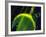 Sci Fi - Satellite in Space, 1950-null-Framed Giclee Print