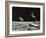 Sci Fi - Spaceships on Moon-null-Framed Giclee Print