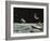 Sci Fi - Spaceships on Moon-null-Framed Giclee Print