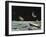 Sci Fi - Spaceships on Moon-null-Framed Giclee Print