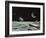 Sci Fi - Spaceships on Moon-null-Framed Giclee Print