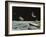 Sci Fi - Spaceships on Moon-null-Framed Giclee Print