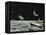 Sci Fi - Spaceships on Moon-null-Framed Premier Image Canvas