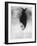 Sciapode, C1860-1910-Odilon Redon-Framed Giclee Print