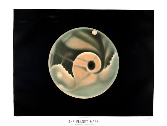 Photographic Print, , large