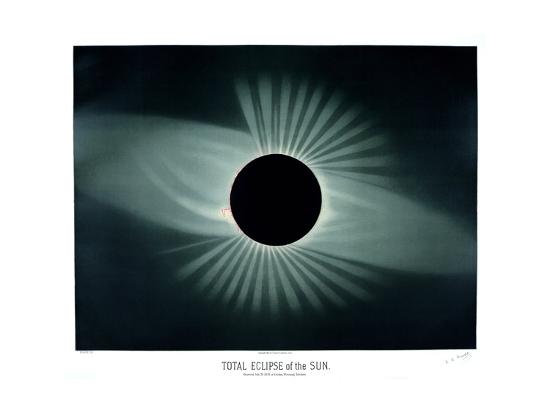 Photographic Print, , large