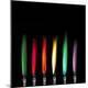 Premium Photographic Print
