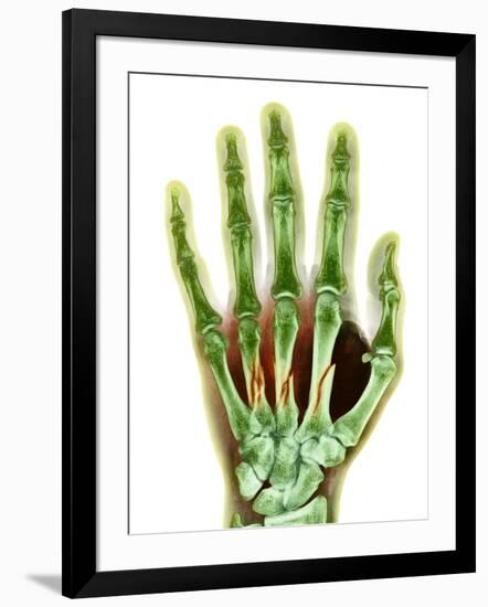 Photographic Print, , large