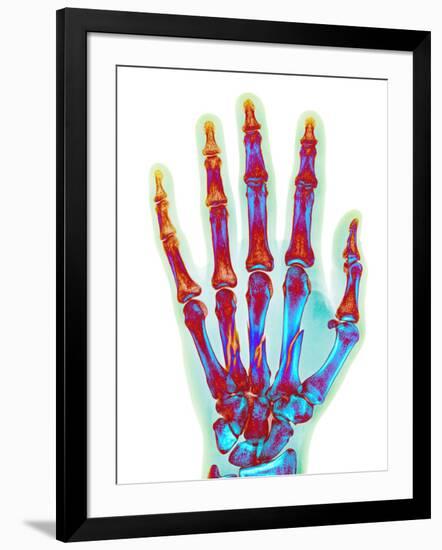 Photographic Print, , large