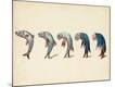 Premium Giclee Print