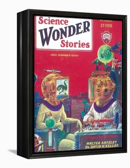 Science Wonder Stories-null-Framed Stretched Canvas