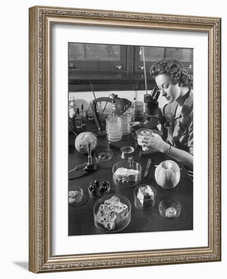 Scientist Examining Molds-null-Framed Photographic Print