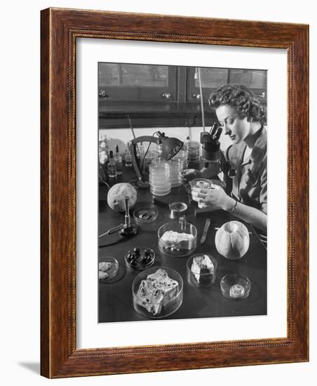 Scientist Examining Molds-null-Framed Photographic Print