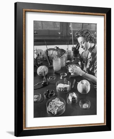 Scientist Examining Molds-null-Framed Photographic Print