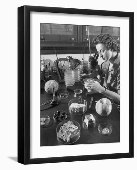 Scientist Examining Molds-null-Framed Photographic Print