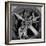 Scientists at California Institute of Technology Working on Large Propeller-Bernard Hoffman-Framed Photographic Print