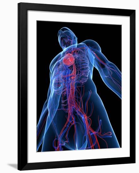 Photographic Print, , large