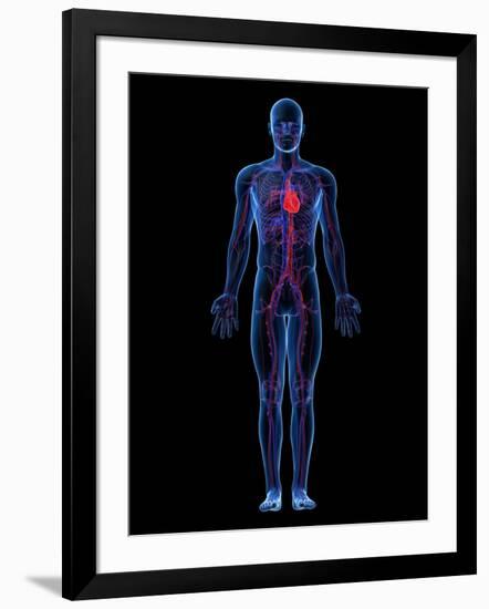 Photographic Print, , large