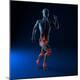 Premium Photographic Print