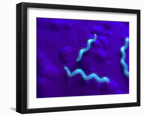 Photographic Print, , large