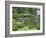 Scilent Stone Garden, Kyoto, Japan-Shin Terada-Framed Photographic Print