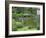 Scilent Stone Garden, Kyoto, Japan-Shin Terada-Framed Photographic Print