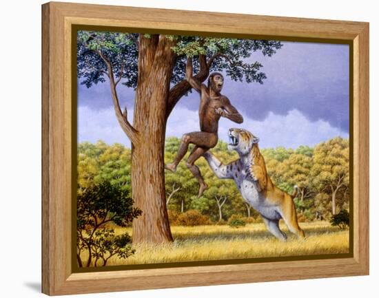 Scimitar Cat Attacking a Hominid-Mauricio Anton-Framed Premier Image Canvas