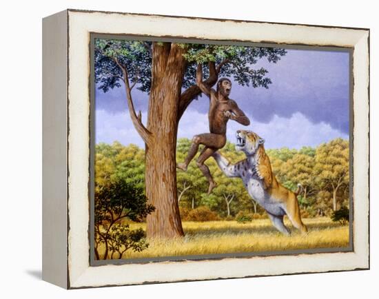 Scimitar Cat Attacking a Hominid-Mauricio Anton-Framed Premier Image Canvas