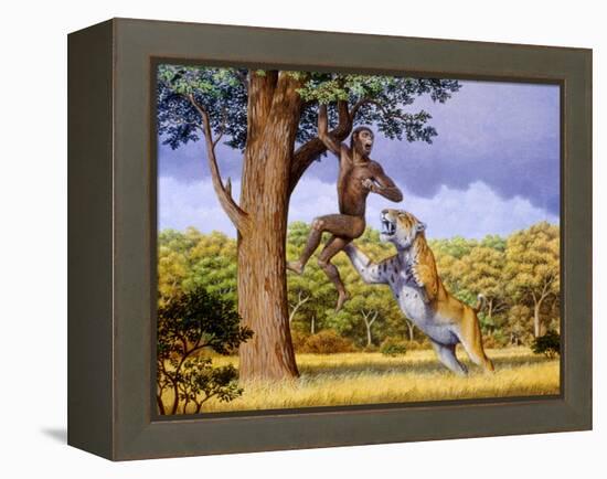 Scimitar Cat Attacking a Hominid-Mauricio Anton-Framed Premier Image Canvas