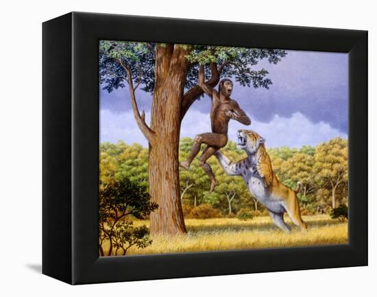 Scimitar Cat Attacking a Hominid-Mauricio Anton-Framed Premier Image Canvas