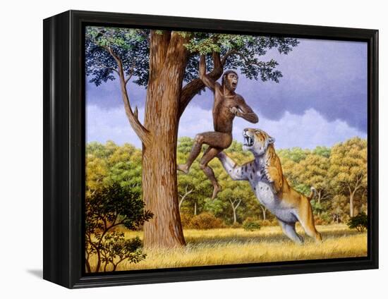 Scimitar Cat Attacking a Hominid-Mauricio Anton-Framed Premier Image Canvas