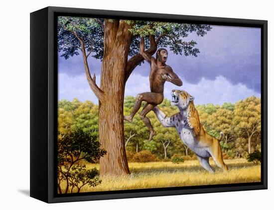 Scimitar Cat Attacking a Hominid-Mauricio Anton-Framed Premier Image Canvas