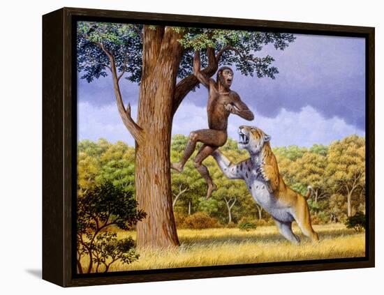 Scimitar Cat Attacking a Hominid-Mauricio Anton-Framed Premier Image Canvas