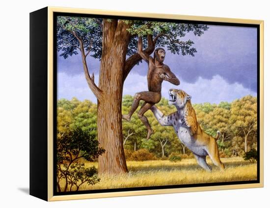 Scimitar Cat Attacking a Hominid-Mauricio Anton-Framed Premier Image Canvas