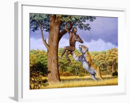 Scimitar Cat Attacking a Hominid-Mauricio Anton-Framed Photographic Print