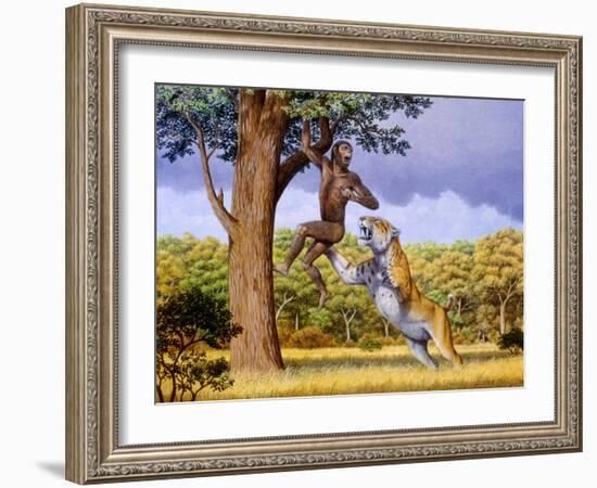 Scimitar Cat Attacking a Hominid-Mauricio Anton-Framed Photographic Print