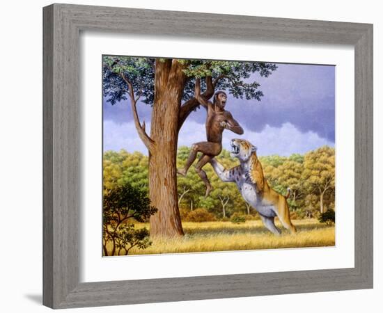 Scimitar Cat Attacking a Hominid-Mauricio Anton-Framed Photographic Print