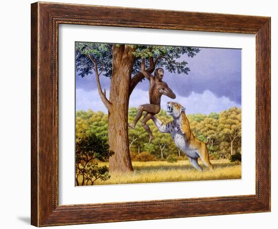 Scimitar Cat Attacking a Hominid-Mauricio Anton-Framed Photographic Print