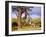 Scimitar Cat Attacking a Hominid-Mauricio Anton-Framed Photographic Print