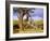 Scimitar Cat Attacking a Hominid-Mauricio Anton-Framed Photographic Print