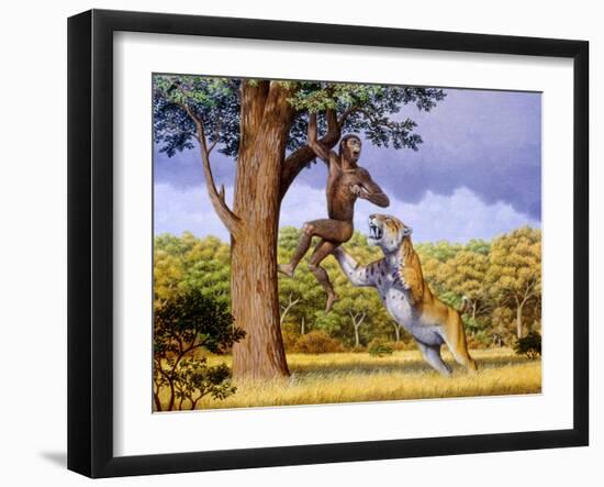 Scimitar Cat Attacking a Hominid-Mauricio Anton-Framed Photographic Print